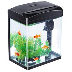 2 Gallon Glass Tank 