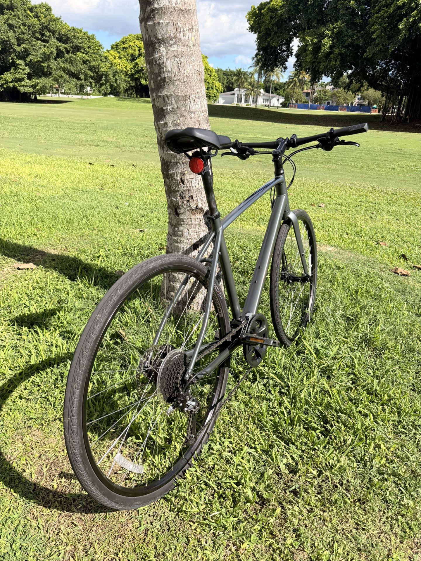 Trek FX 2 Disc Gen 2 Size: Large (2024 Model) - *Rack For Car And Lights Included*