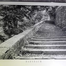 Bruce Barnbaum "The Stairway" Framed Black & White Photo Poster Stone Steps Art