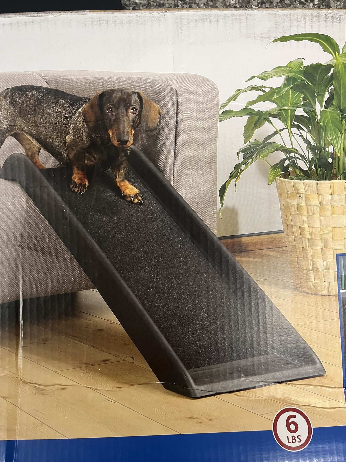 Pet Ramp Small