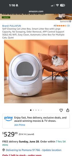 auto cat little box