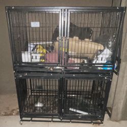 Dog Kennel