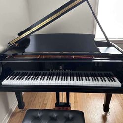 Free Steinway & Sons Baby Grand Piano In Like New Condition