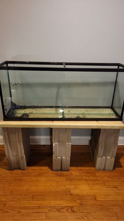 55 gal fishtank