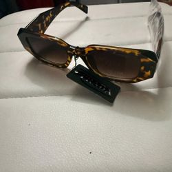 Design Sunglasses 🌸