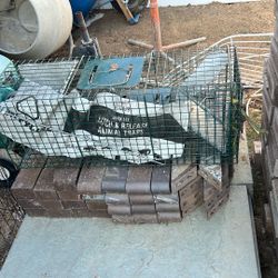 Catch And Release Animal Trap 