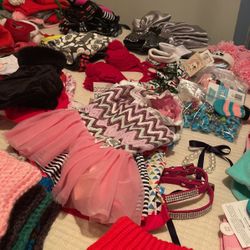 Large Lot Of  Resale Pet Clothing