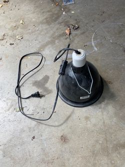 Basking light for a reptile