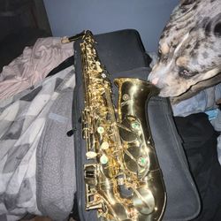Pegasus Saxophone(Brand New)