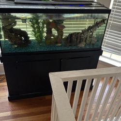 Fish tank Set