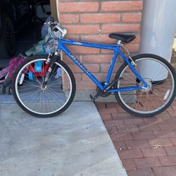 Giant Aluminum Frame Bike 