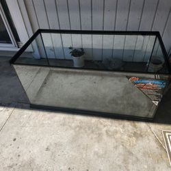 Reptile Tank