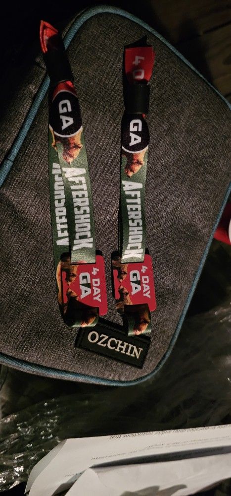 Aftershock 4 DAY Ga