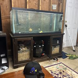 75 Gallon Aquarium