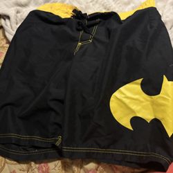 Men’s Dc Comic Batman board shorts, swim trunks