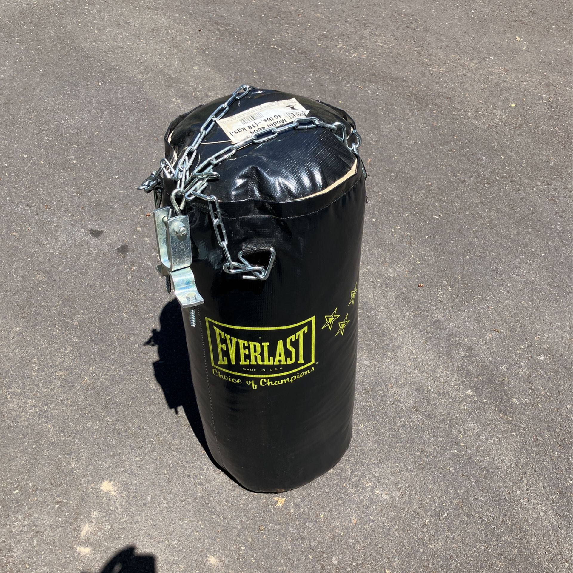 Everlast 40 LBS Punching Bag