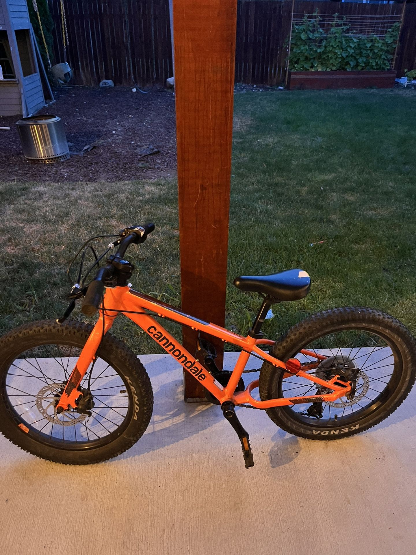Cannondale Mtb Children Bike