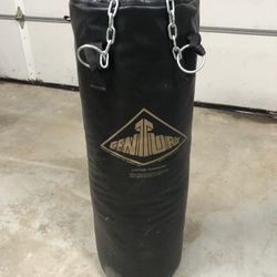 Century Heavy Boxing / Punching Bag - Great Condition 