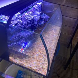 Aquarium - 8 Gallon - Lights