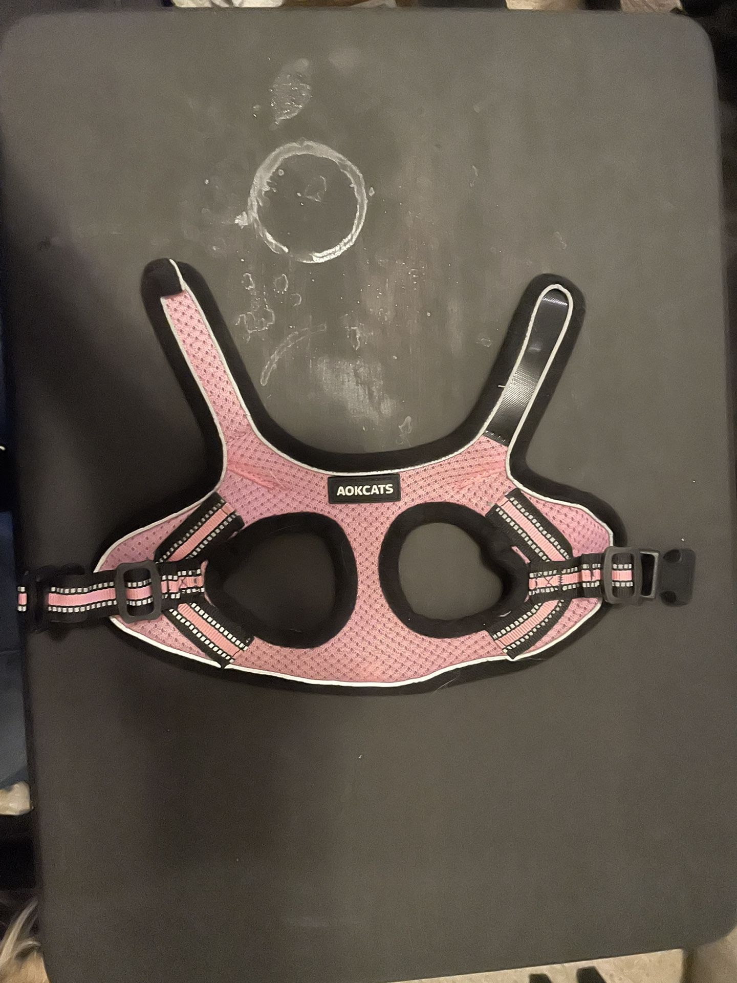 Cat Harness