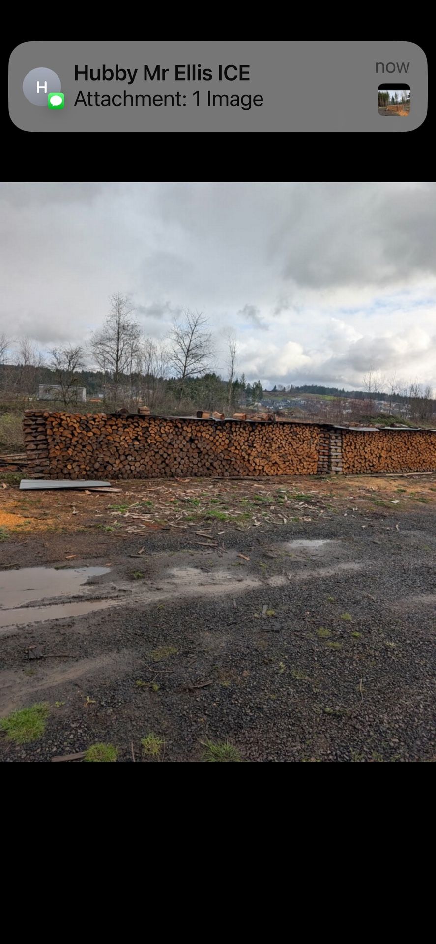 Seasoned Firewood 340 A Cord