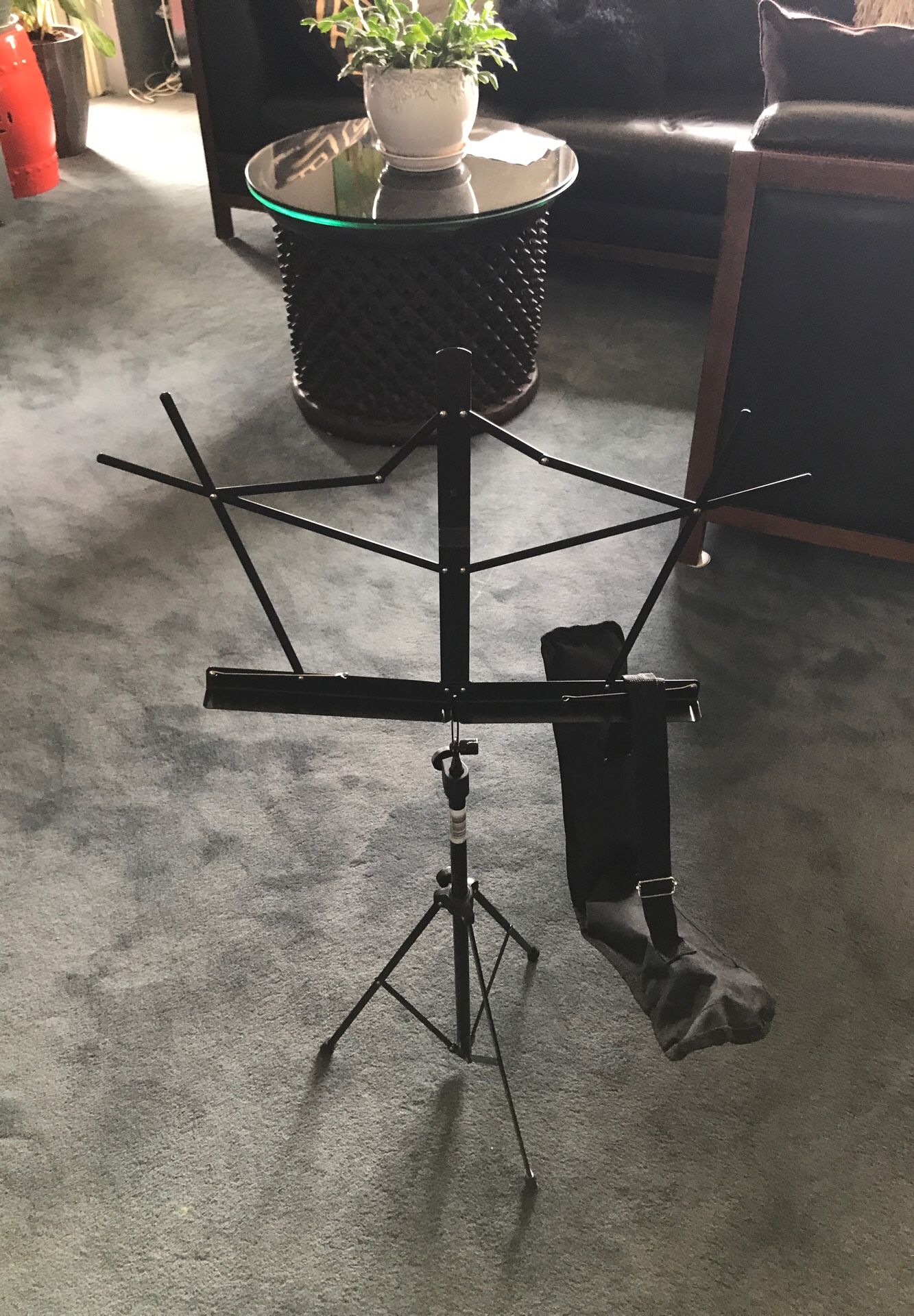 Portable-Collapsible music stand with carrying case. NEW