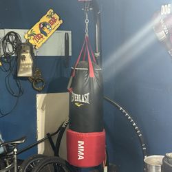 Punching Bag Everlast MMA 