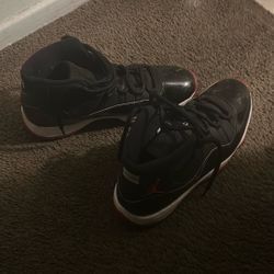 Jordan 11 Bred