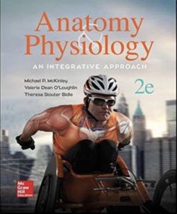 Anatomy Mcgraw Hill Book