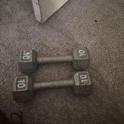 10 Lbs Set
