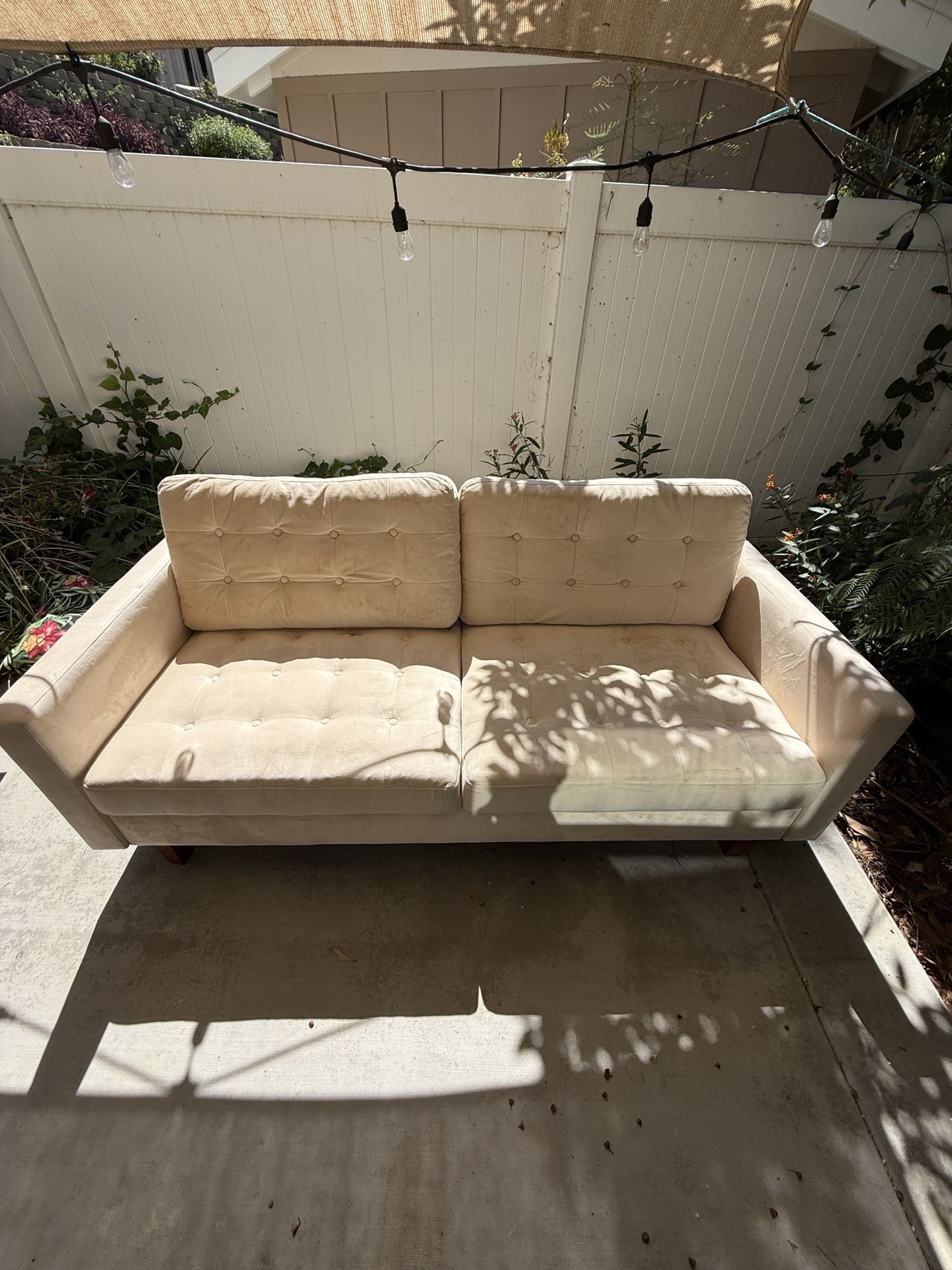 Velvet Couch