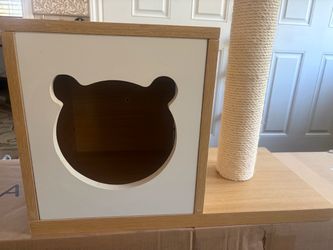 Kitten box or small cat with scratching post