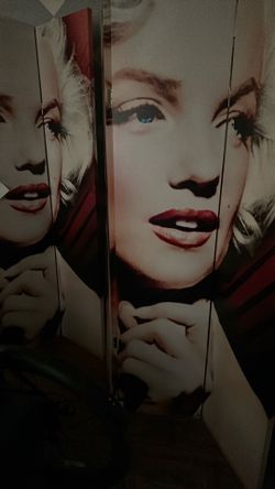 Marilyn Monroe room dividers