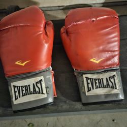 Everlast Adult Boxing Gloves