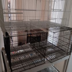 Bird Cages