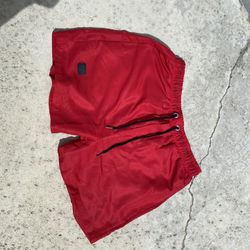 Track/Swim Shorts