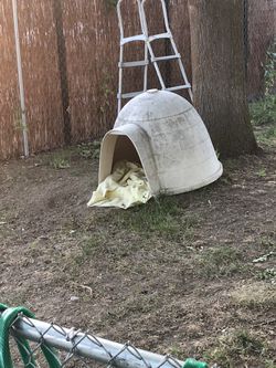 Large igloo dog house