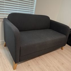 Loveseat Couch - IKEA LINANAS