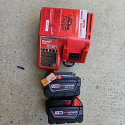 Milwaukee 18v Batteries 5.0 Ah And Charger Brand New 