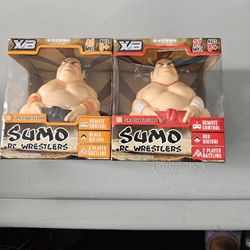 Wrestling Remote-Controlled 9-11 years Age Range