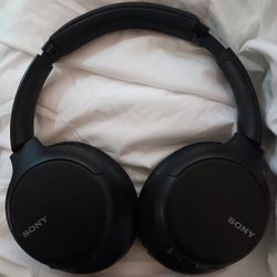 Sony WH-CH710N Headphones