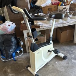 Elliptical bike