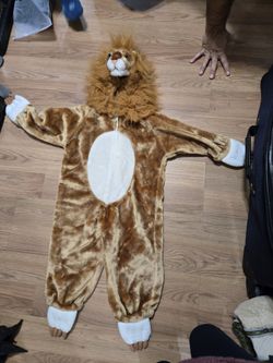 Lion costume 2-3