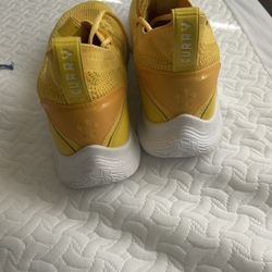 Curry 8