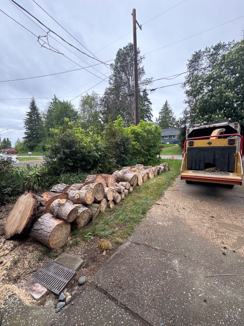 Free Wood!