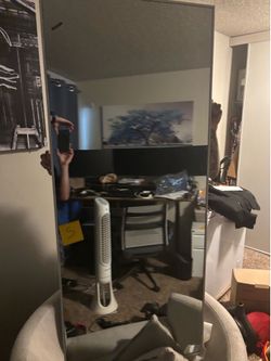 Body mirror