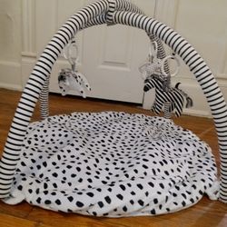 Baby play gym