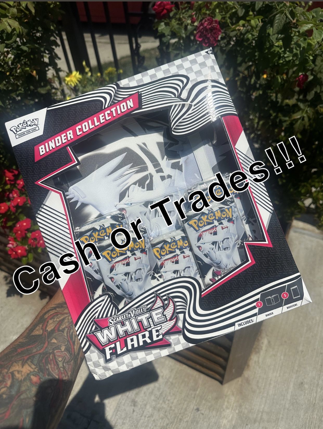 Pokemon White Flare Binder Collection 