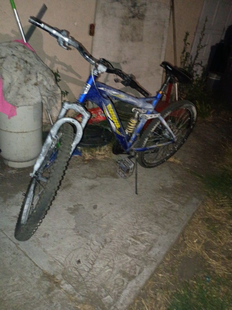 Mongoose