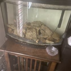 36 Gallon Fish Tank & Stand 